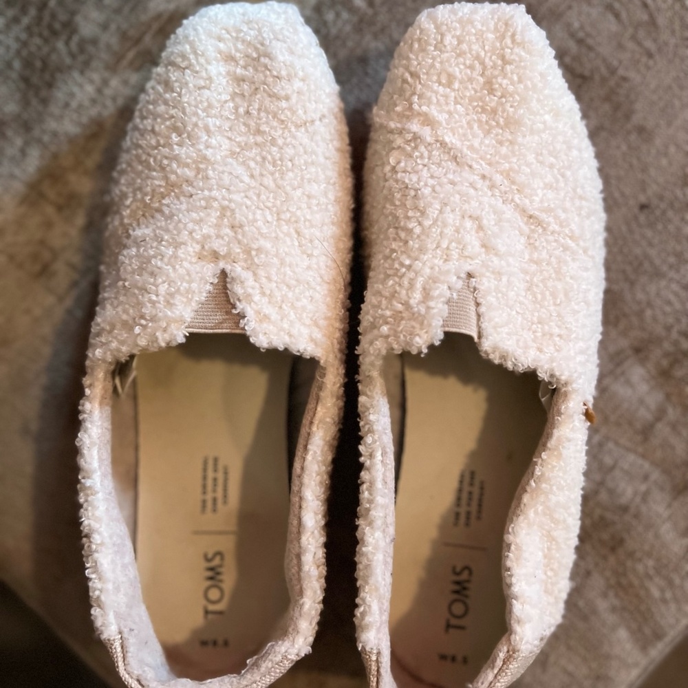 Teddy Toms